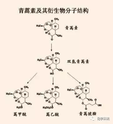 上海藥物所青蒿素衍生物紅斑狼瘡候選新藥進入II期臨床(圖2)