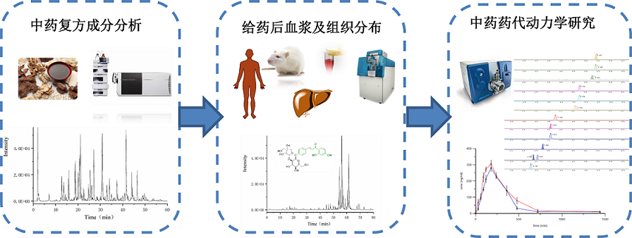 藥物代謝與藥代動力學服務(圖1)